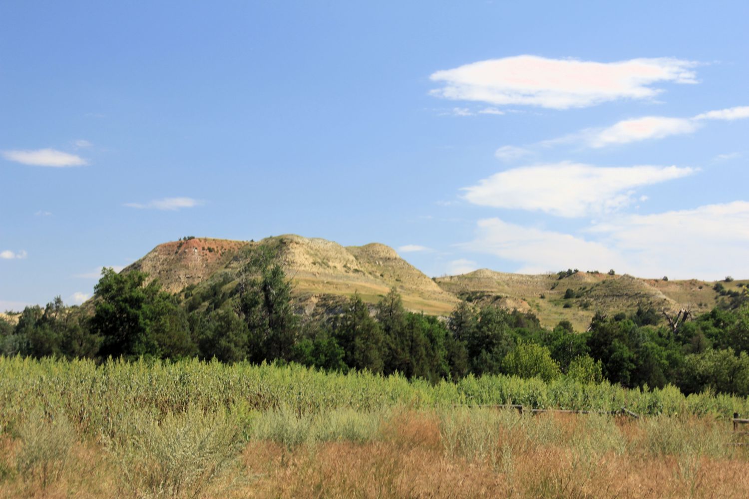 South Unit Scenic Highway and Hikes 